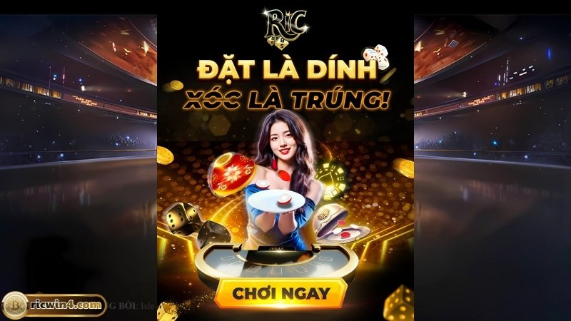 Lý do nên đăng nhập Ricwin
