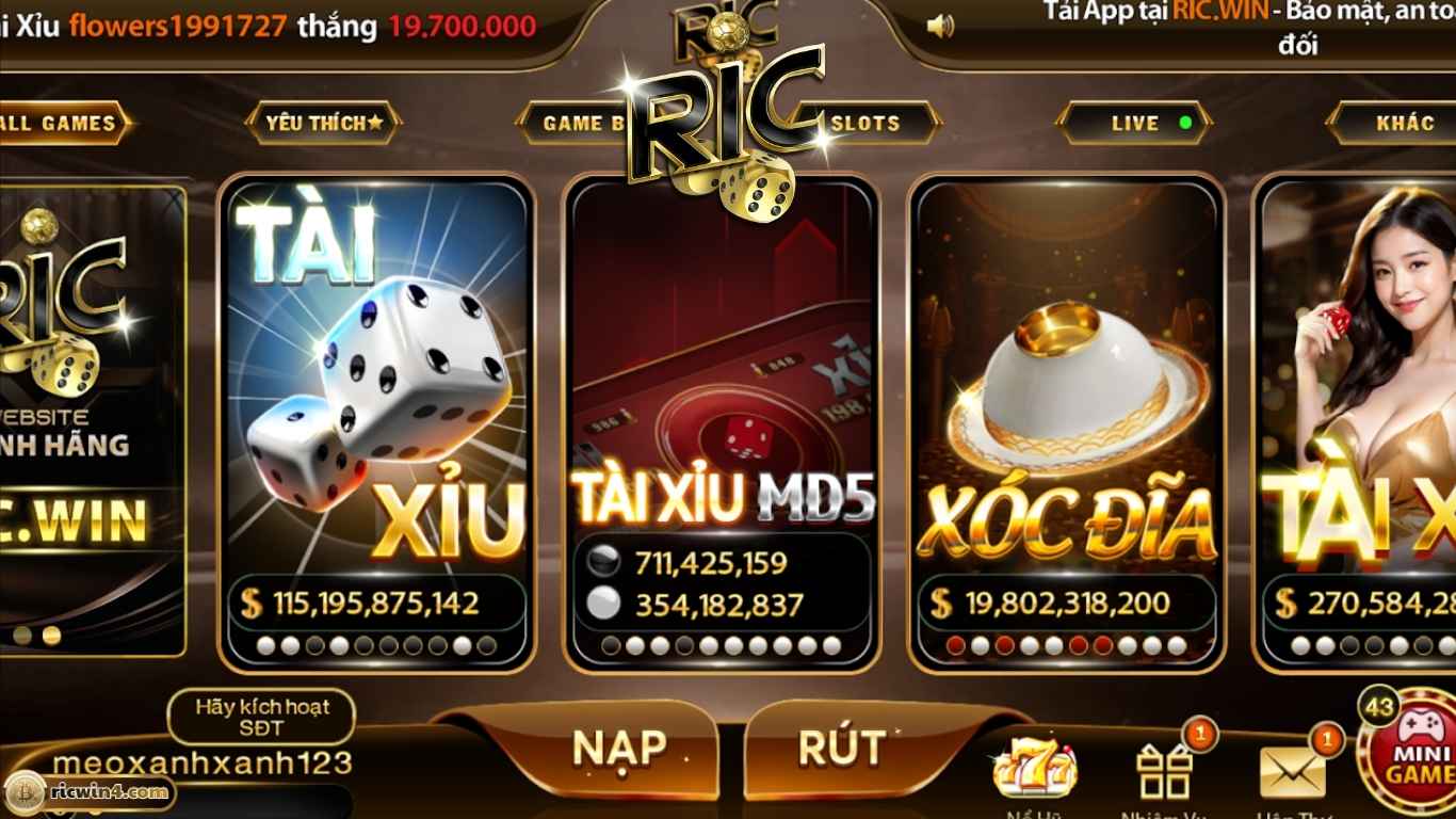 Lưu ý quan trọng khi nạp tiền Codeypay tại Ricwin Lưu ý quan trọng khi nạp tiền Codeypay tại Ricwin